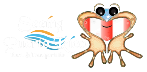 Seeing Puerto Rico